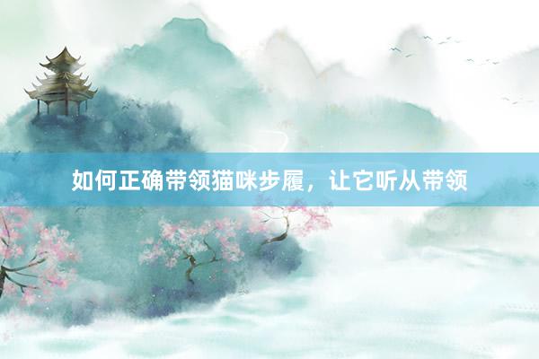 如何正确带领猫咪步履,让它听从带领